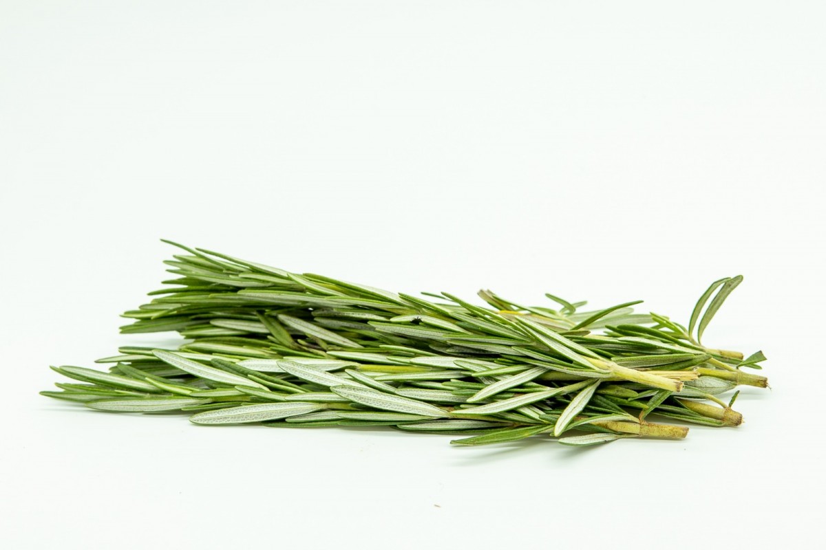 Exotic Rosemary from Kenya